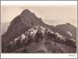 Sheep Graze Mountain Top