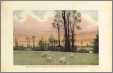 Sheep Graze on the Battlefields at Sedgemoor England