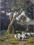 Sheep Grazing By Woods