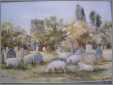 Sheep Grazing in a Cemetary Watercolour