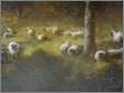 Sheep Grazing in Woods