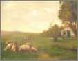 Sheep Grazing Near Home