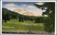 Sheep Grazing South Sister Mountain Oregon Postcard