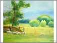 Sheep Grazing Summer Pasture