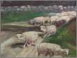 Sheep Impressionism