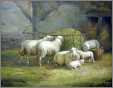 Sheep in Barn Scene