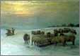 Sheep in Snow 1