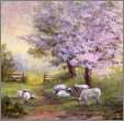 Sheep in the Orchard1