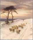 Sheep in the Snow 18X15 Farqueson