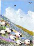 Sheep in Wildflowers