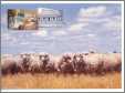 Sheep Maxi Card Australia