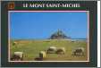 Sheep of Le Mont Saint Michael