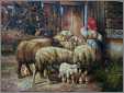 Sheep Oil Painting 2