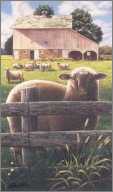 Sheep on a Farm