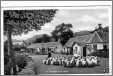 Sheep on Road at Kilmahog Callander