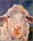 Sheep Portrait1