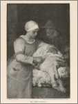 Sheep Shearers