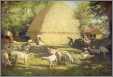 Sheep Shearing Rural Irish Farm Farmer Old Print Obrien