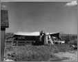 Sheep Shearing Tent Farming Landers Ranch Texas Photo 1950