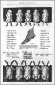 Sheep Shoes Advertisement