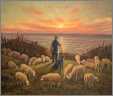 Sheep Sunset