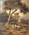 Sheep Under an Old Tree