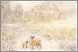 Sheep with Lambs in Snow