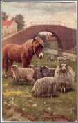 Sheep with Pony Gardian