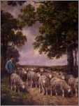 Sheep with Shepherd in Lane