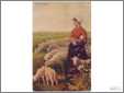 Sheep with Shepherdess