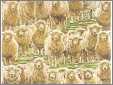 Sheep Wraping Paper