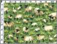 Sheep Wrapping Paper