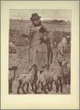 Shepherd Feeding Orphand Lambs