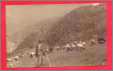 Shepherd Pasturing Sheep Romania 1925