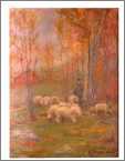 Shepherd Sheep in Autum