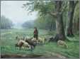 Shepherd with 11 Sheep