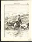 Shepherd with Ewes and Lambs