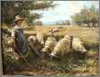 Shepherdess 11 Sheep