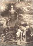 Shepherdess and Sheep Drinking