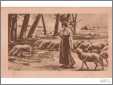 Shepherdess with Sheep2