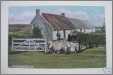 Shepherds Cot Cottage and Sheep