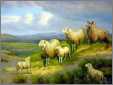 Spring Sheep on the Hill