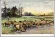 Springtide Shepherd with Sheep