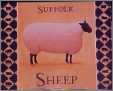 Suffolk Sheep