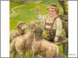 Swiss Boy Feeds Sheep