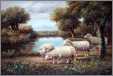 Tally Sheep Oil