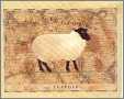 The Suffolk Sheep