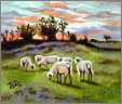 Tiny Sheep Graze at Sunset