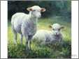 Twin Lambs Crosstich