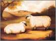 Two Sheep in a Landscape Poster